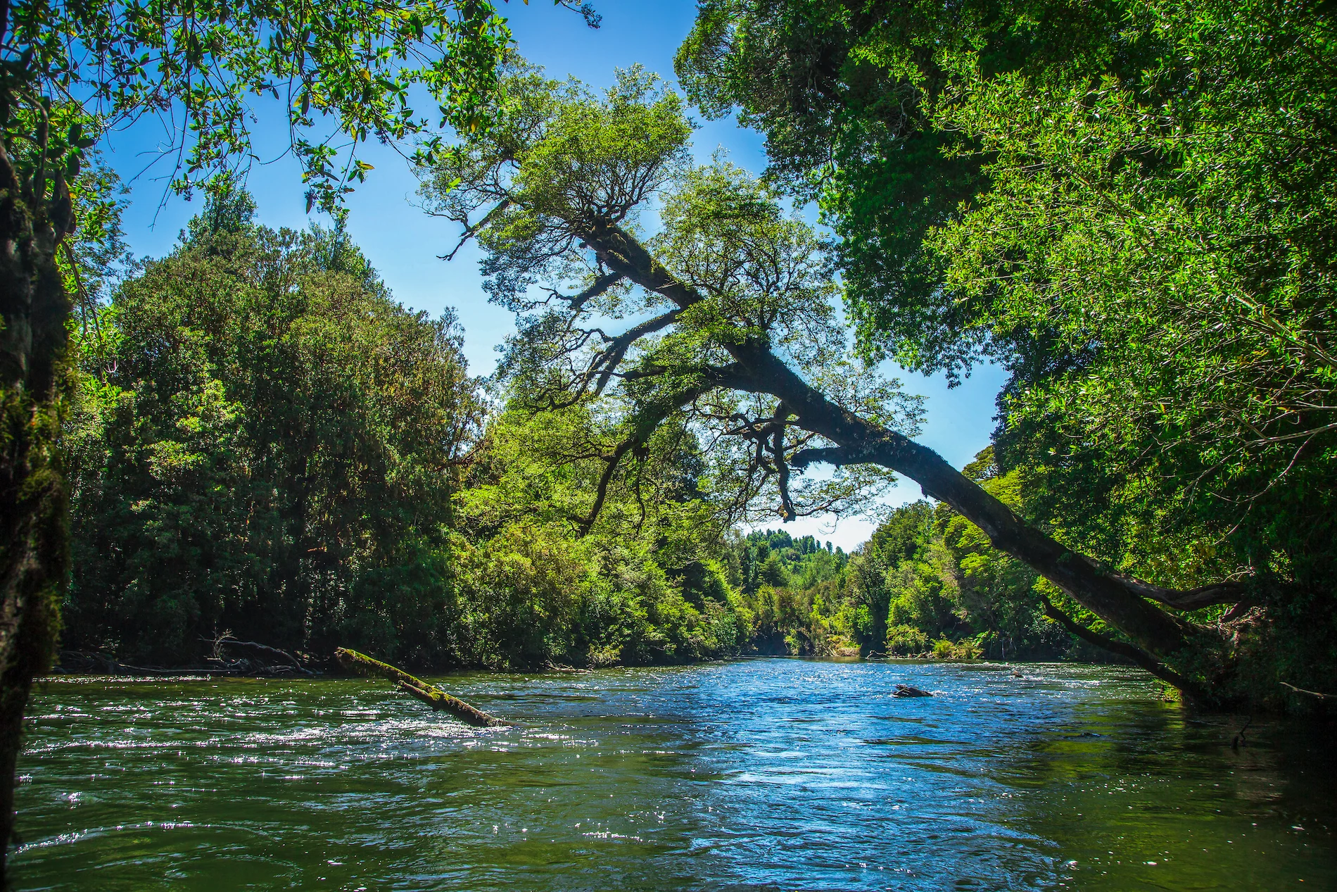 A New Experience in Investment and Conservation - 3