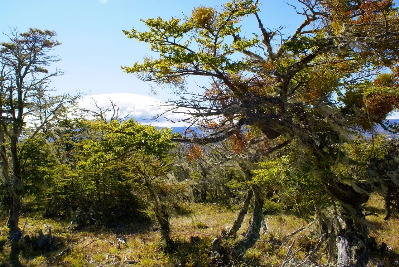 INVESTMENT, CAPITAL APPRECIATION, AND CONNECTIVITY IN PATAGONIA - 3