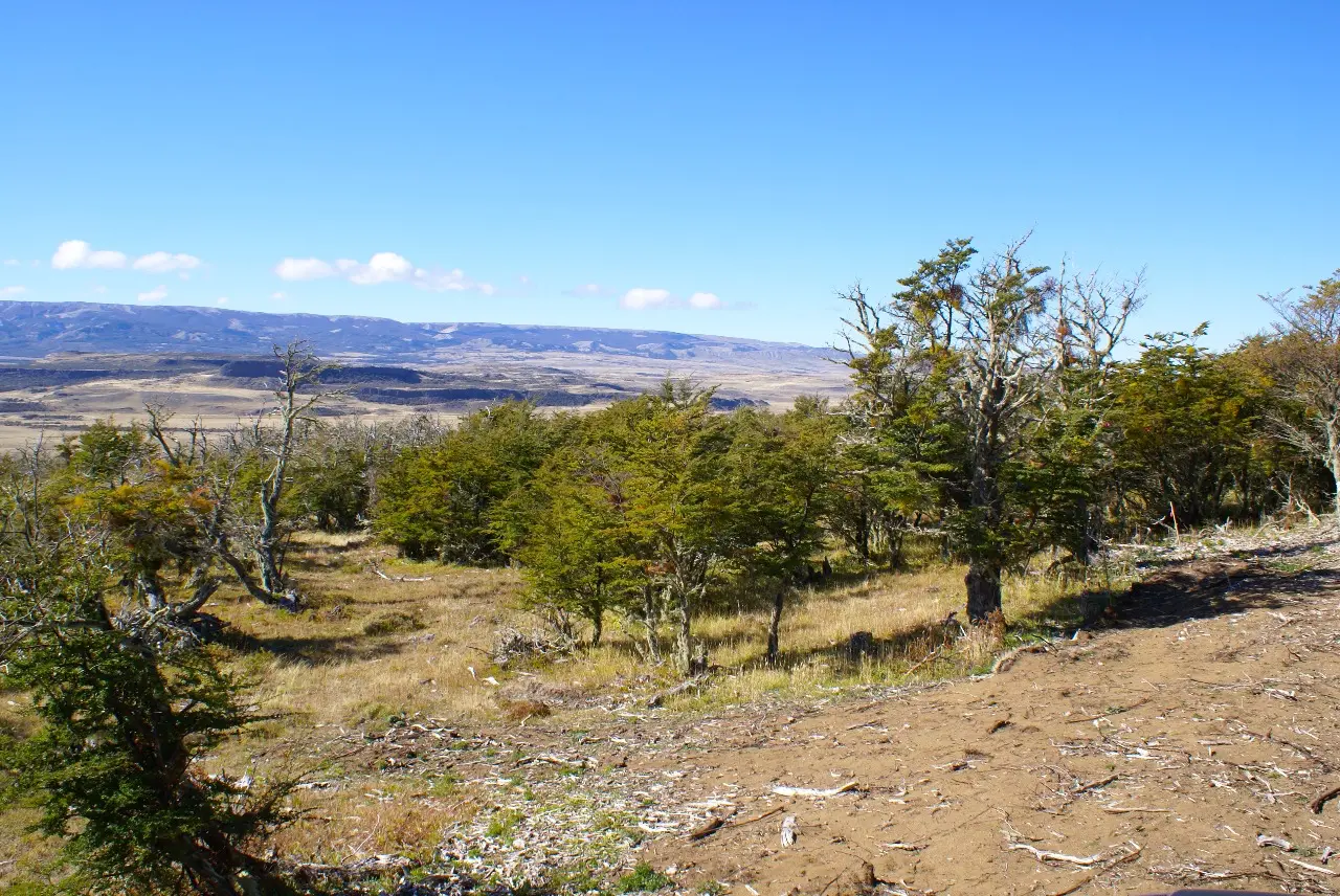 INVESTMENT, CAPITAL APPRECIATION, AND CONNECTIVITY IN PATAGONIA - 4